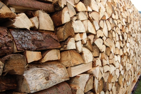 14. Oktober 2016.jpg