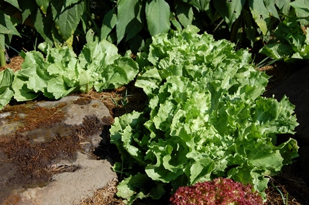 07. September 2016.jpg