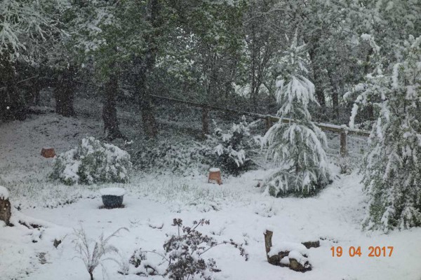 Aprilschnee.jpg