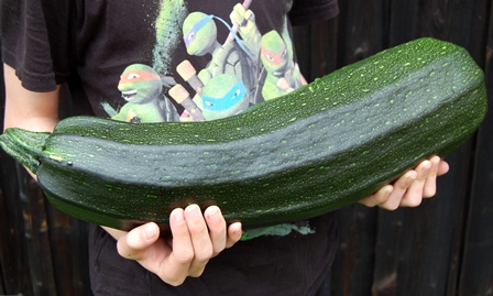 27. Juli 2017.Wk..jpg