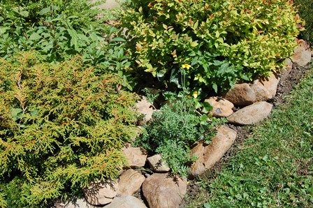 DSC_0223.jpg