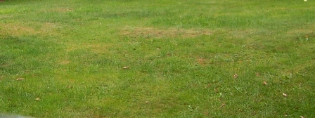 10. September 2015 W.k..jpg