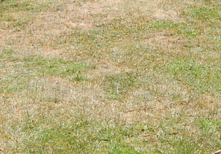 19. Juli 2018 W.k..jpg