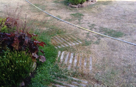 12. August 2018.W.k.jpg