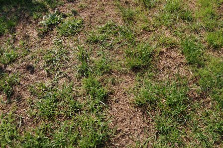 06. 09. 2018 W.k..jpg