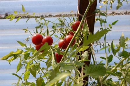 6. September 2018 W.k..jpg