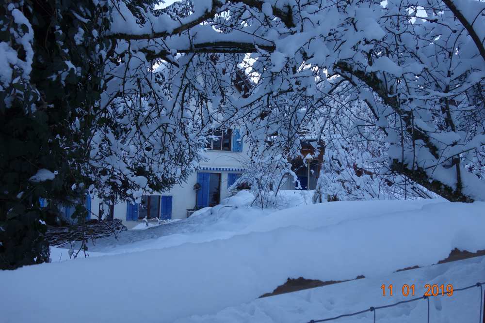 Winter.jpg