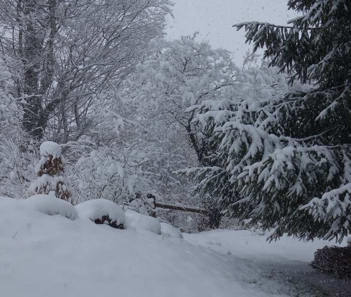 Schneefall.jpg