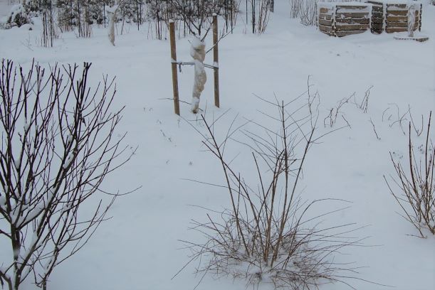 Februar 2019.S.jpg