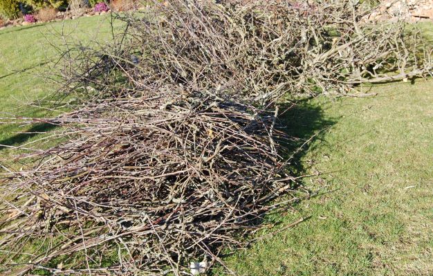 Reisighaufen 20.03.2019.S..jpg