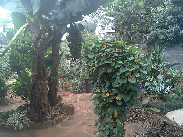 Blick aus dem Pavillon