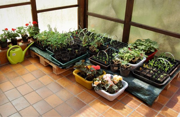 Kindergarten 25. April 2019.S..jpg