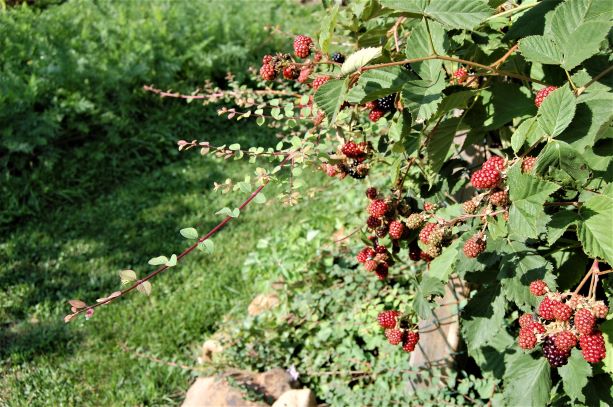 22. August 2019.6-S.jpg