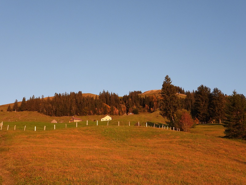 appenzeller herbst.jpg