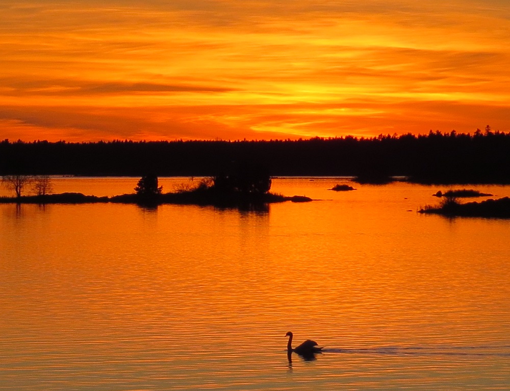 sverige home nan co tat Herbst.jpg