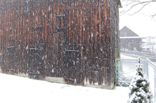 13. Dezember 2019.S..jpg