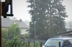 20. Mai 2019...jpg
