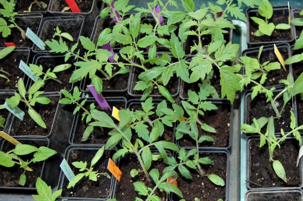 15. März 2020.S..jpg