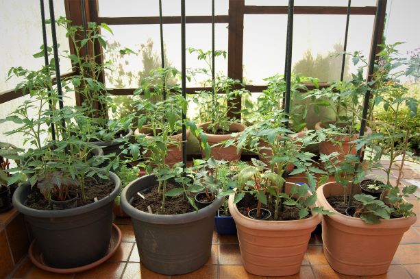 11. Juni 2020.S..jpg