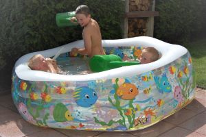 Taucher August 2012..jpg