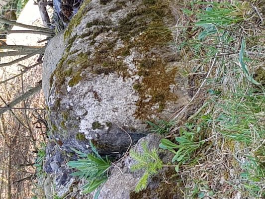 20210402_182903 (3).jpg