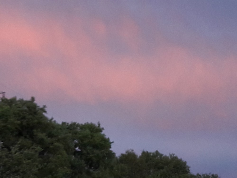 20210505_201707.jpg