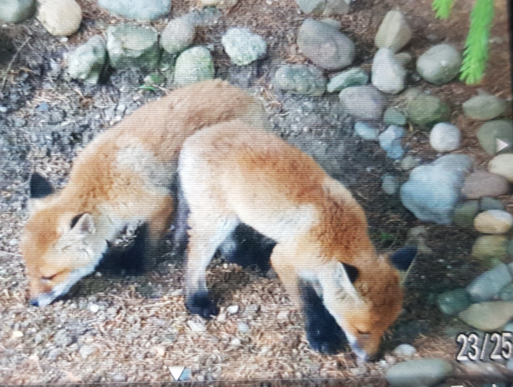 20220522_172210 (2).jpg