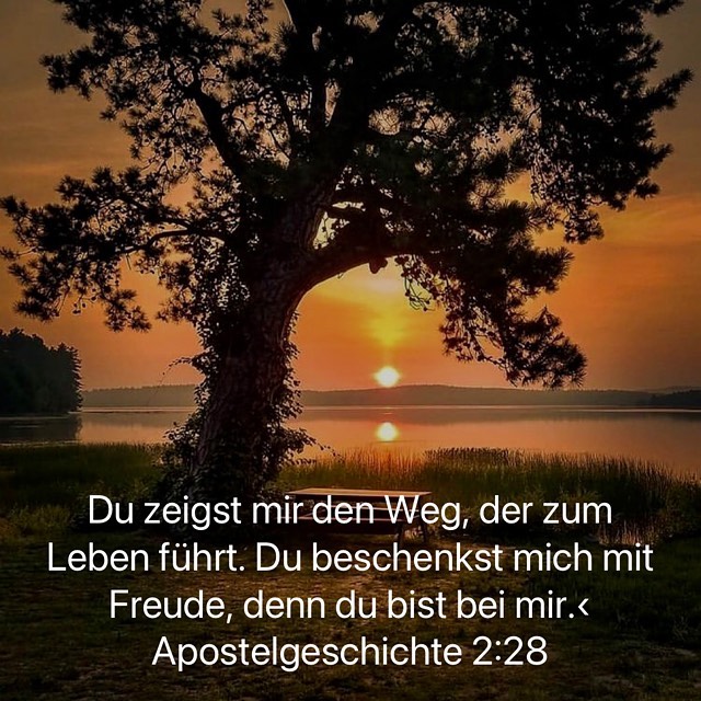 weg zum leben.jpg