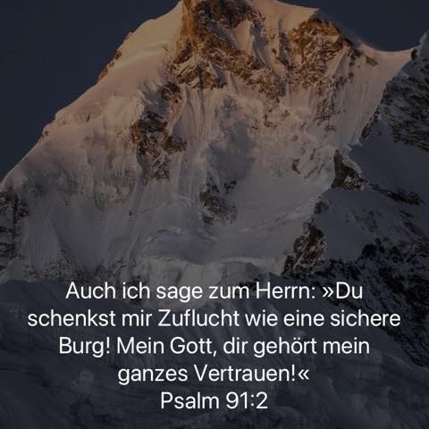 vertrauen ganz.jpg