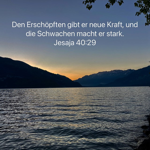 schwachen kraf.jpg