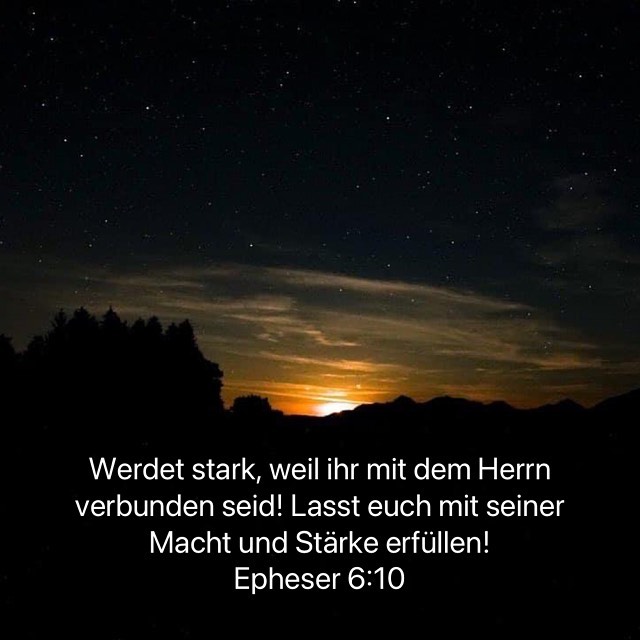 stark herrn.jpg