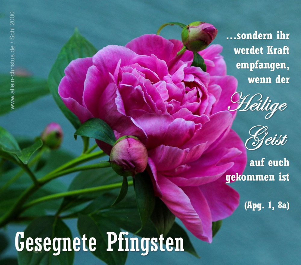 pfingsten gesegnete.jpg