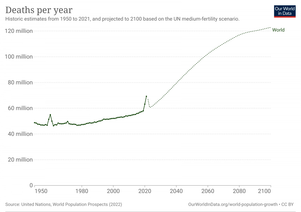 number-of-deaths-per-year.png