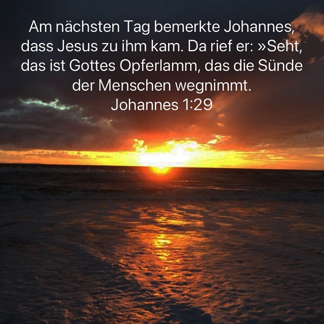 lamm gottes.jpg