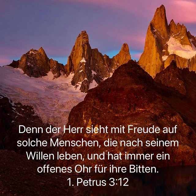 jesus sieht.jpg