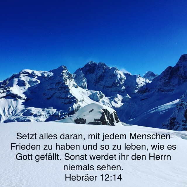 frieden mt allen.jpg