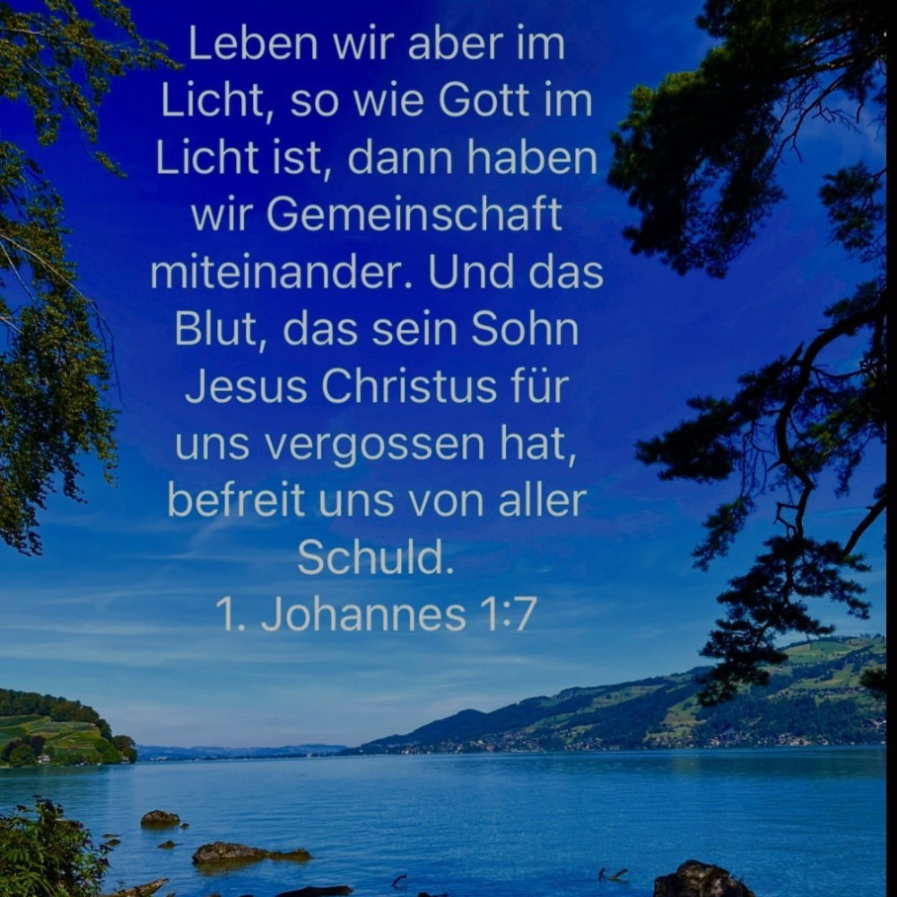 licht leben.jpg
