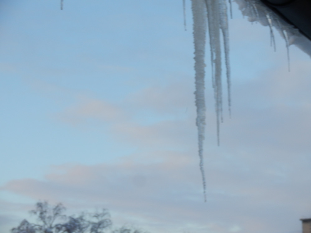 Eiszapfen TROTZ Kälte