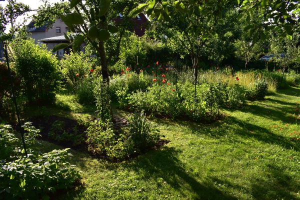 Abteilung Schrebergarten 21-06-2025.JPG