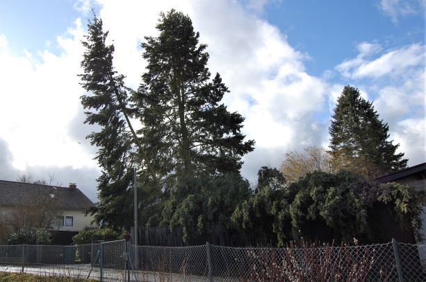 10. Februar 2020.12.42 Uhr.S..jpg