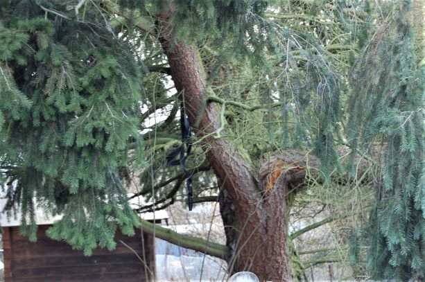 10. Februar 2020- S..jpg