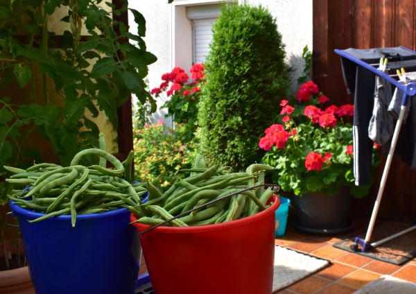 Arbeit 06-08-2025.JPG